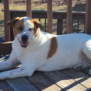 Meet your Posher, Meg